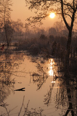 Sonnenaufgang am Silbergraben in Potsdam Drewitz bei Frost im Winter