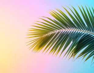 Naturaleza minimalista con copy space