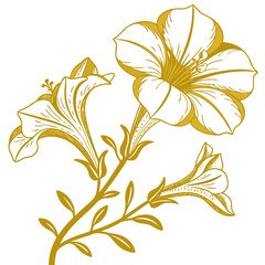  calibrachoa superbells lemon slice flower on white background 