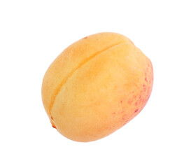 One fresh ripe apricot isolated on white