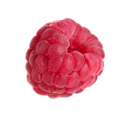 One fresh ripe raspberry isolated on white