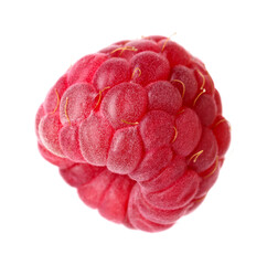One fresh ripe raspberry isolated on white
