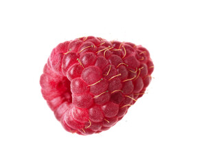 One fresh ripe raspberry isolated on white