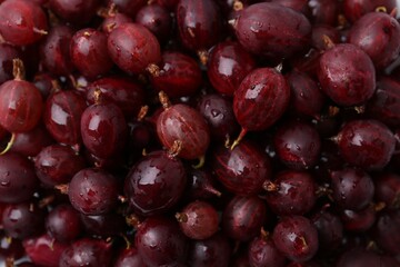 Fresh ripe red gooseberries as background, closeup