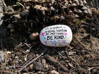 Forest floor with dirt, mushroom fungi, and be kind kindness rock