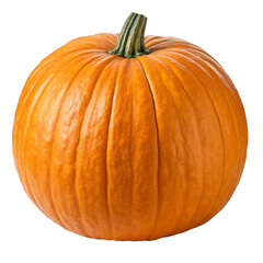 Obraz premium Pumpkin isolated on white background with festive design realistic clean texture and seasonal style