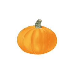 Autumn Pumpkin Illustrations