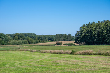 Green hills at the Wallon countryside around Libramont, Province de Luxembourg, Belgium
