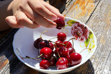 Juicy cherries, glistening in the sun, fill a white bowl set on an old wooden table. A child's hand...