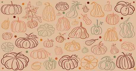 Hand-drawn pumpkin line art illustration. Perfect for Halloween, Thanksgiving, fall harvest designs, seamless backgrounds, rustic decorations, and seasonal accents. 