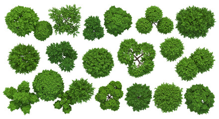 tree top view lush foliage displayed in a green canopy a top-down shot perfect for landscape planning garden design and illustrating botanical diversity. © DigitalStock