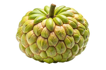 Obraz premium Custard apple fruit isolated on black background