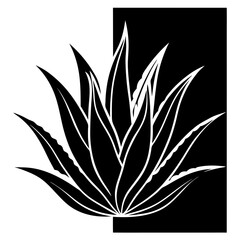 silhouette of a plant