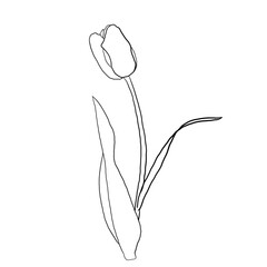 vector illustration of a flower