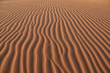 Dunas do Jalapao, Tocantins, Brazil