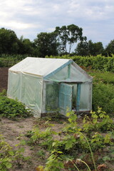 Greenhouse in a Garden A Home for Plants