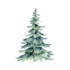 Spruce hand drawn with watercolor and isolated on white background. Christmas tree illustration. Element for holiday decor design, New Year and Christmas cards