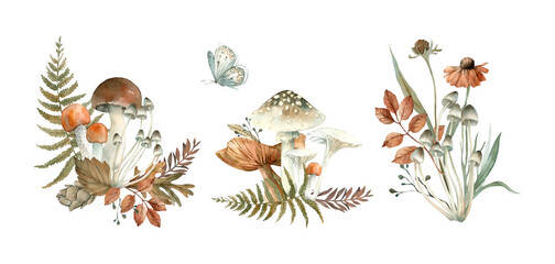 Autumn set of watercolor illustrations with forest plants. Hand drawn fern, leaves, branches, mushrooms, butterflies and flowers. Objects for design isolated on white background