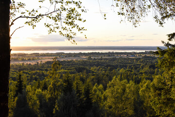 Swedish countryside in summer