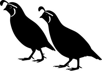 Obraz premium New world quail Silhouette Vector Graphics illustration isolated on white background 
