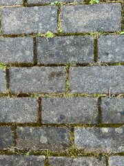 Closeup of textured cobblestone pavement ideal for backgrounds and design projects