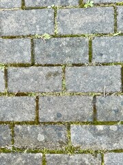 Closeup of textured cobblestone pavement ideal for backgrounds and design projects