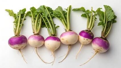 Turnips with green leaves and purple turnips on a white background
