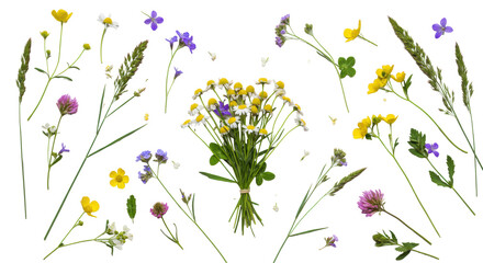 Vibrant wild meadow flowers and green grasses perfectly arranged on an immaculate bright white studio background with copy space, top-down flat lay, sharp focus. Concept of purity and organic growth