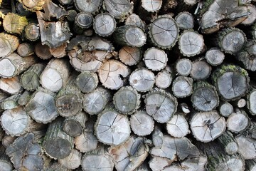 firewood