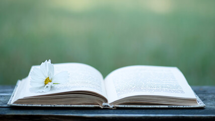 Open book with white flower outdoors
