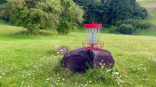 Disc golf basket mounted on large rock in scenic Talsi meadow with summer greenery