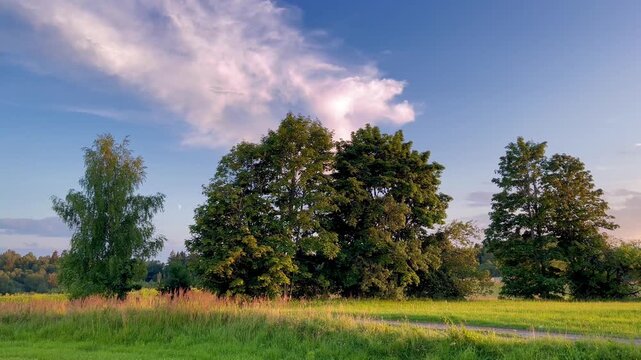 Idyllic summer field near Talsi with expressive evening clouds and peaceful natural light