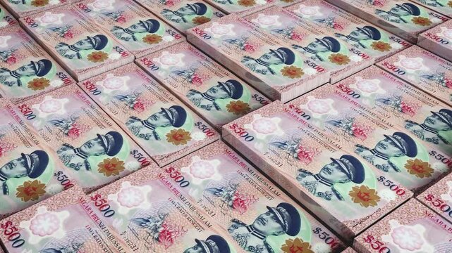 Brunei 500 Dollar Banknote Horizontal 3D Animation - Unique Money Concept