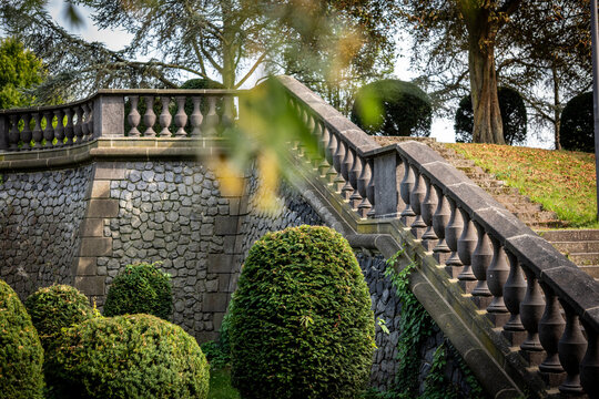 Rheinaue, Bonn
