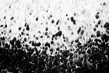 road, woman, people, bike, dog, couple, grass, farm, family, exercise, active, autumn, outdoors, travel, walking, park, cow, animal, path, field, street, trees, photography