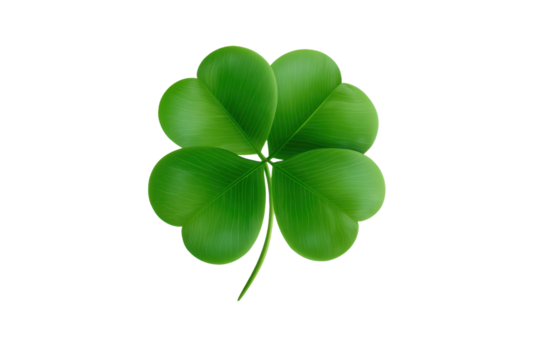 Shamrock vector icon on white background
