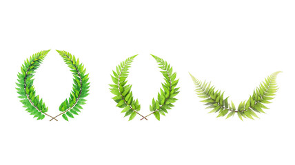 Green leaf arrangement on transparent background png