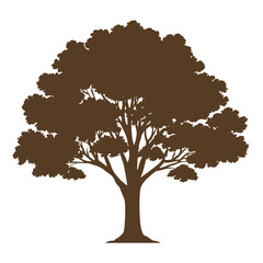 Fototapeta premium Tree silhouette with leaves 