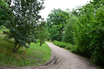 A peaceful dirt path winds its way through a lush green park, surrounded by vibrant trees and...