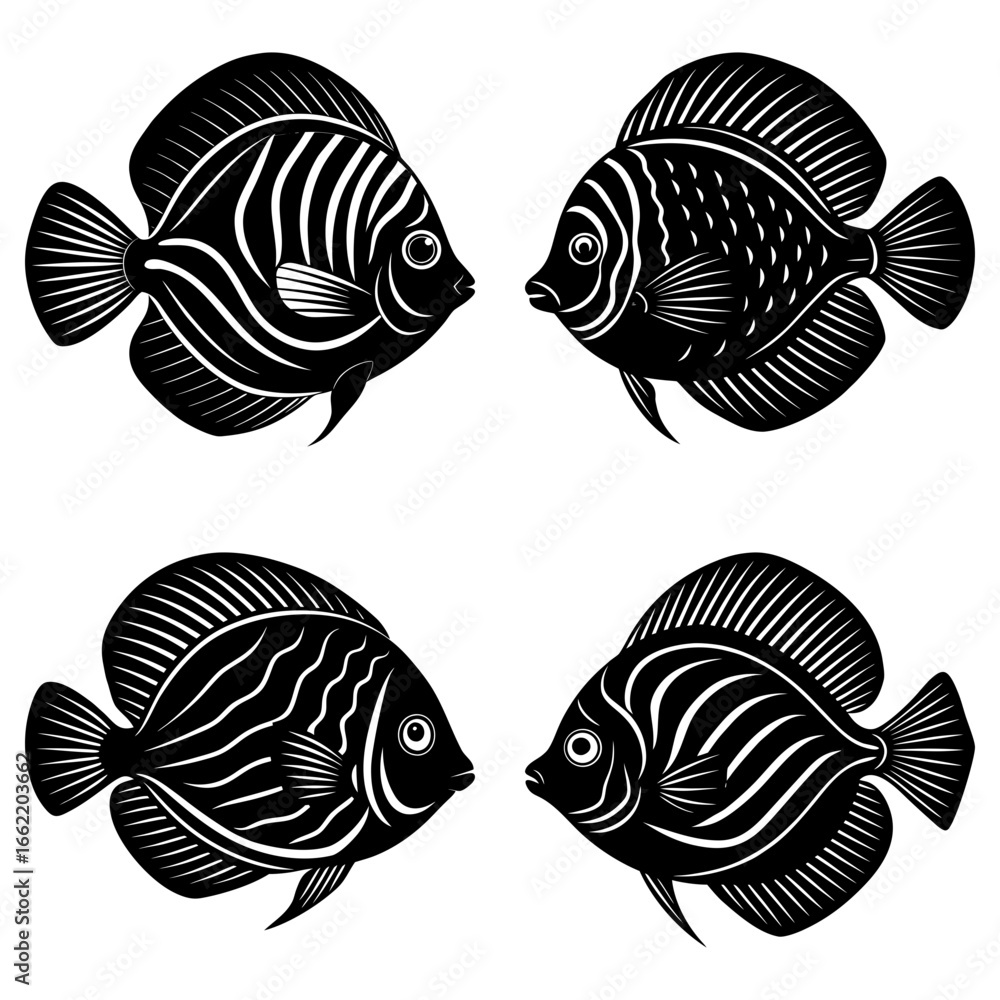 Poster four black and white stylized angelfish with intricate line patterns facing each other on white back