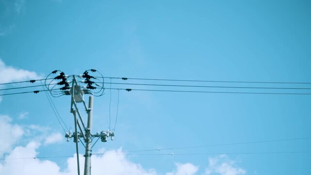 電柱　景色
