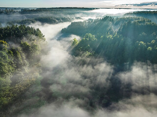 Foggy forest and valley with river at sunrise in autumn.