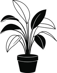 House plants line art – potted plant outline with big leaves, minimalist black and white vector illustration 3