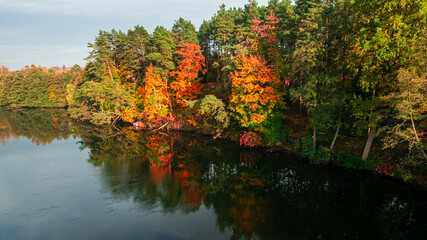 Forest and river at sunrise in autumn.