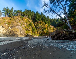 Coastal autumn landscape