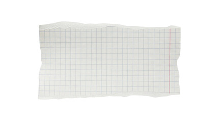 Isolated torn piece of graph paper with grid lines showing rough edges