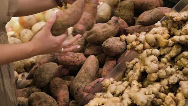 Close-up of woman selects yam sweet potatoes in a grocery store. She is focused on choosing fresh, natural vegan produce among other organic options available in the section, slow motion