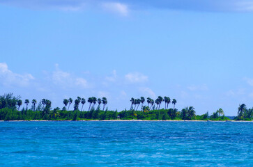 tropical beach with palm trees from a distance