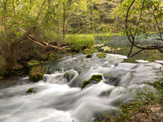 Obraz premium Stream in the woods