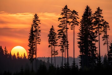 The Sun Setting Behind Silhouetted Pine Trees on Knife Lake in the Boundary Waters Canoe Area in Minnesota